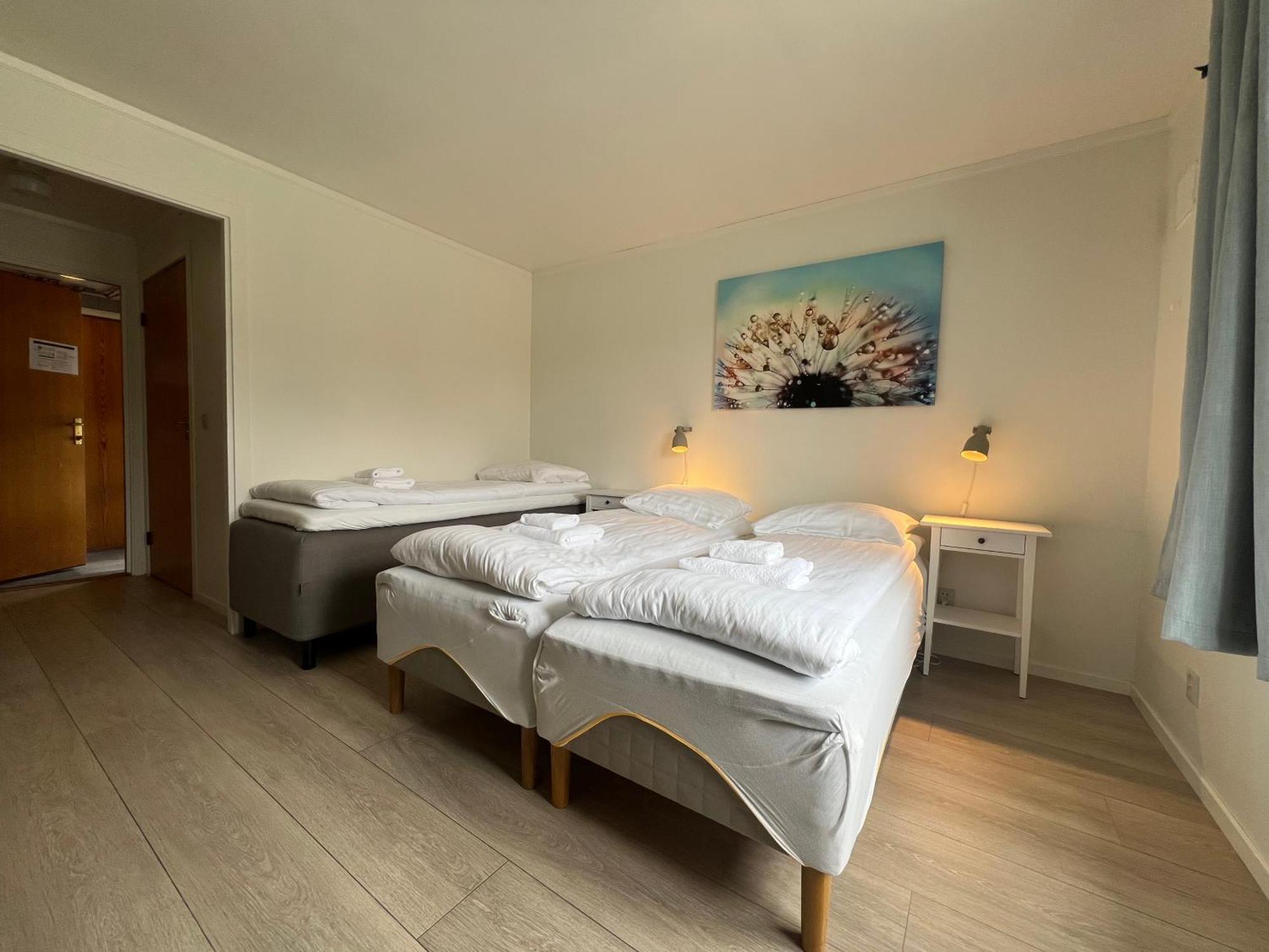 Malmplassen Bed & Breakfast Tolga 外观 照片